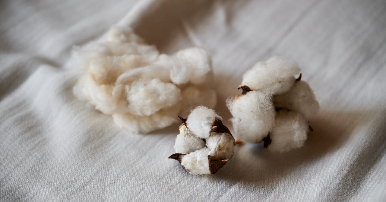 オーガニックコットンと心地よい服