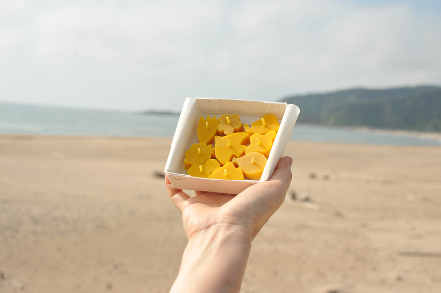 【salvia】kohakuto　/　蜜蝋キャンドル